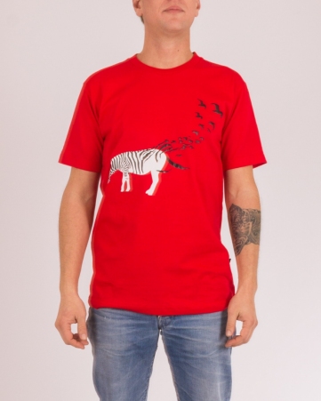 Tee shirt flying zebra tee-shirt flying zebra visuel d�cal�