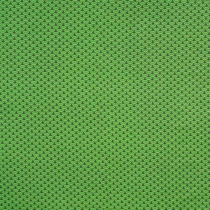 Tissu Seigainami Vert