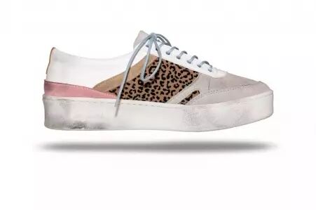 chaussures Morrison CHEETAH accessoire mode au style contemporain