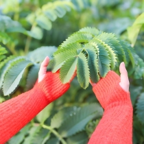 Mitaines baby alpaga Orange