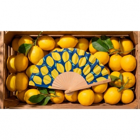 Mini �ventail citrons