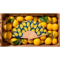 Mini &eacute;ventail citrons