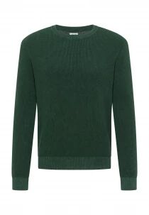 Pull Edward Vert