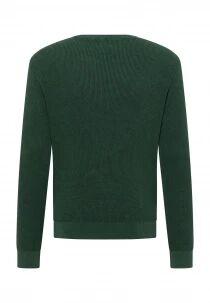 Pull Edward Vert