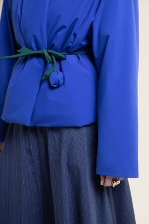 CLERY BLEU ROI