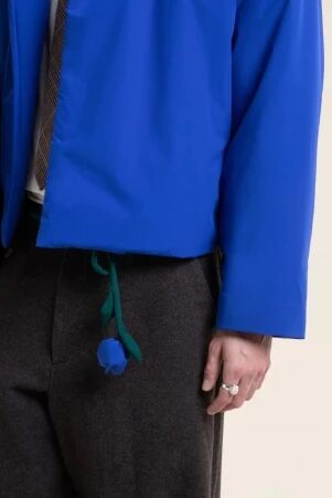 CLERY BLEU ROI